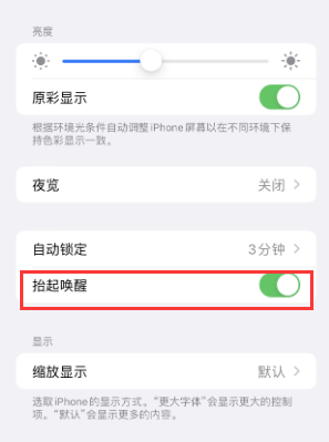 大庆苹果授权维修站分享iPhone轻点无法唤醒怎么办