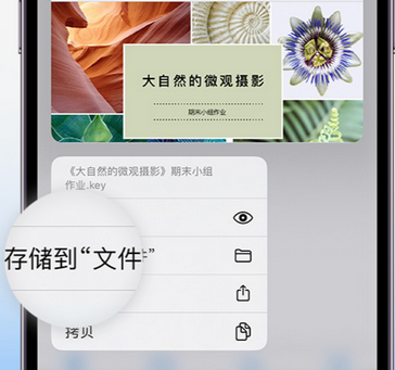 大庆apple维修中心分享iPhone文件应用中存储和找到下载文件