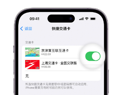 大庆apple维修点分享iPhone上更换Apple Pay快捷交通卡手绘卡面 