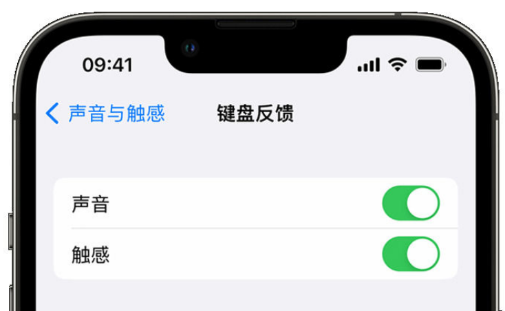 大庆苹果手机维修分享iPhone 14触感键盘使用方法 