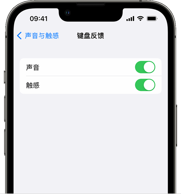 大庆苹果14维修店分享如何在 iPhone 14 机型中使用触感键盘 