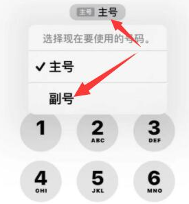 大庆苹果14维修店分享iPhone 14 Pro Max使用副卡打电话的方法 