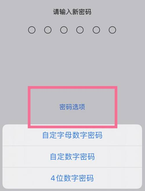 大庆苹果14维修分享iPhone 14plus设置密码的方法 