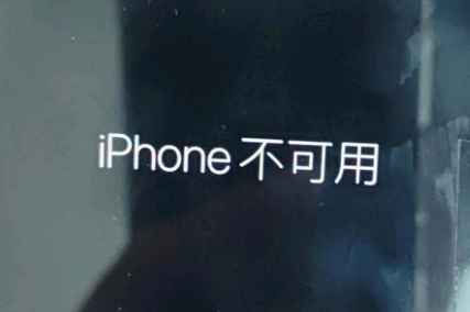 大庆苹果服务网点分享锁屏界面显示“iPhone 不可用”如何解决 