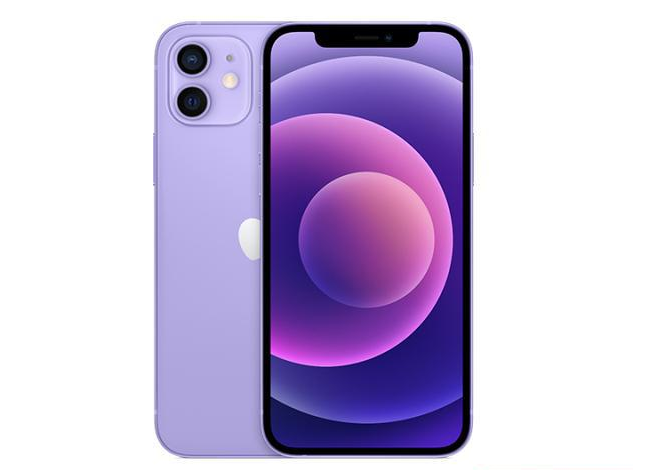 大庆苹果手机维修分享现阶段要不要入手紫色版iPhone12 