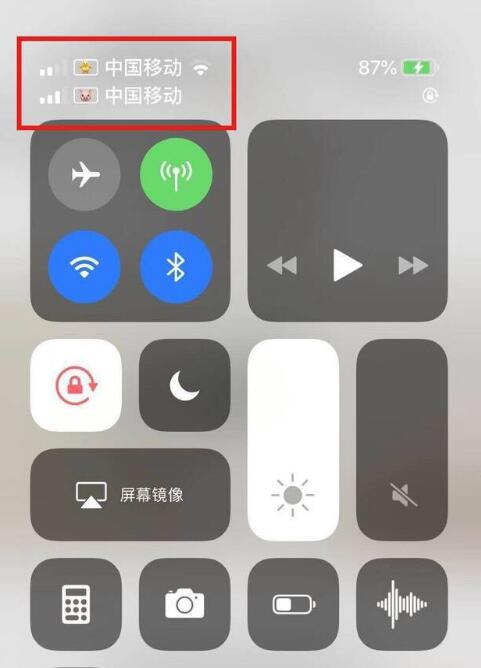 大庆苹果手机维修分享为 iPhone 12 双卡设置标签 