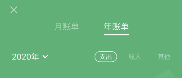 大庆苹果手机维修分享如何在 iPhone 上查看支付宝和微信年支出账单 